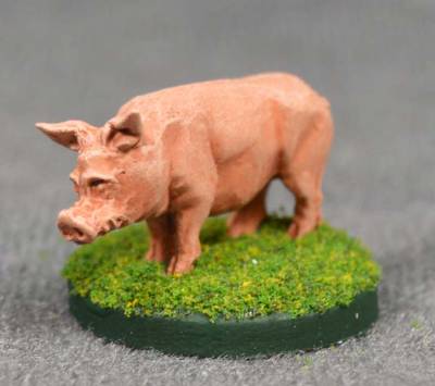 Pig Standing